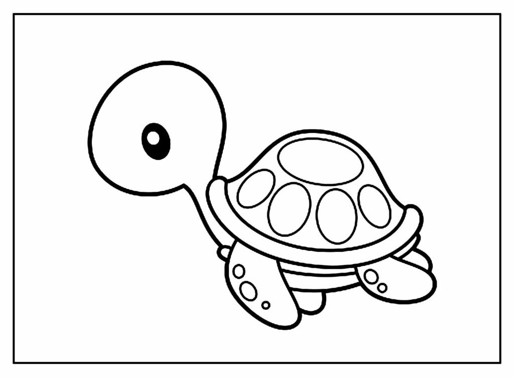 desenhos de tartaruga para colorir 2 1