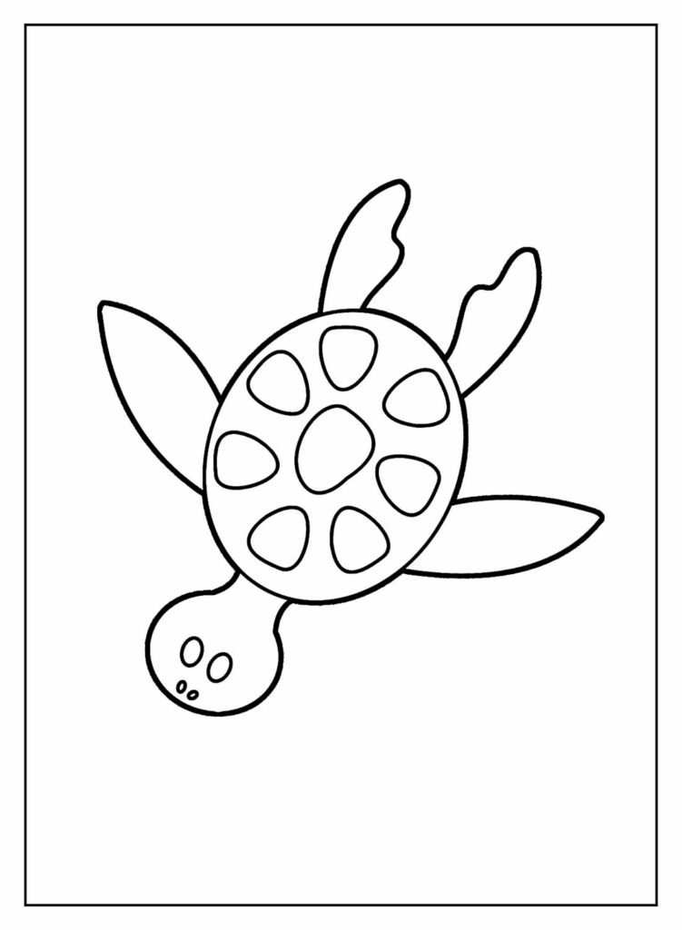 desenhos de tartaruga para colorir 26