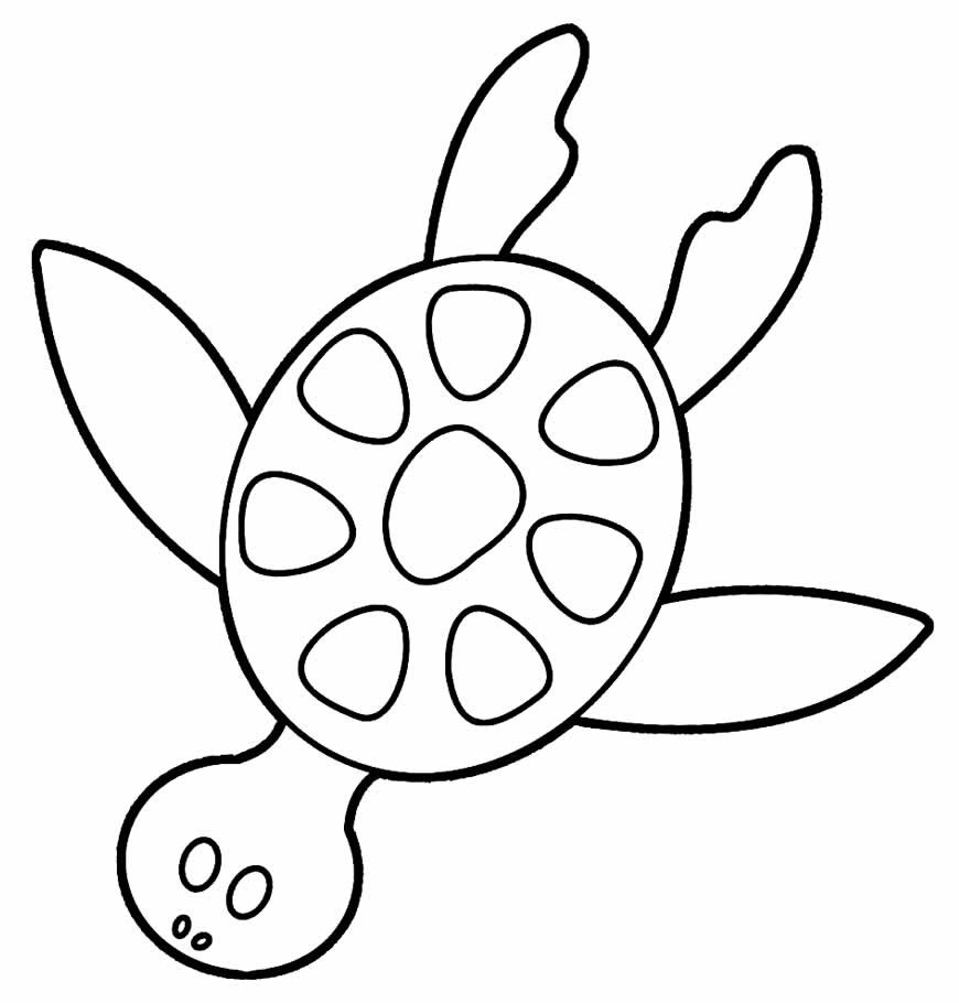 desenhos de tartaruga para colorir 27