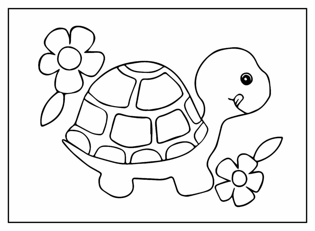 desenhos de tartaruga para colorir 3 1