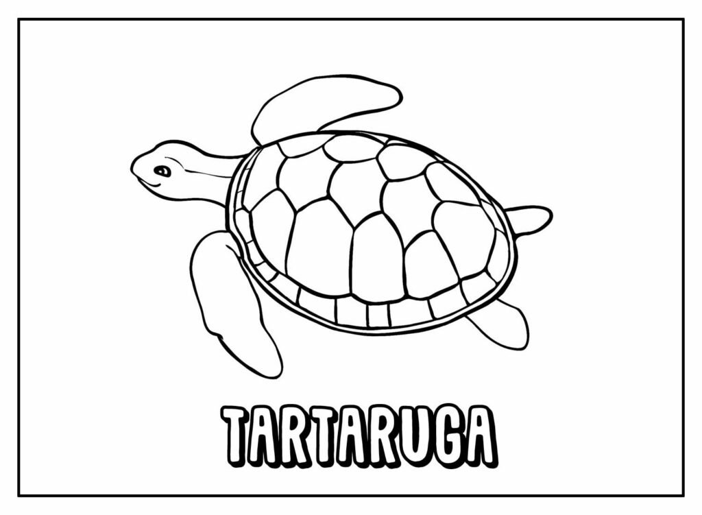 desenhos de tartaruga para colorir 32