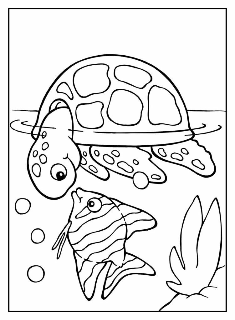 desenhos de tartaruga para colorir 5