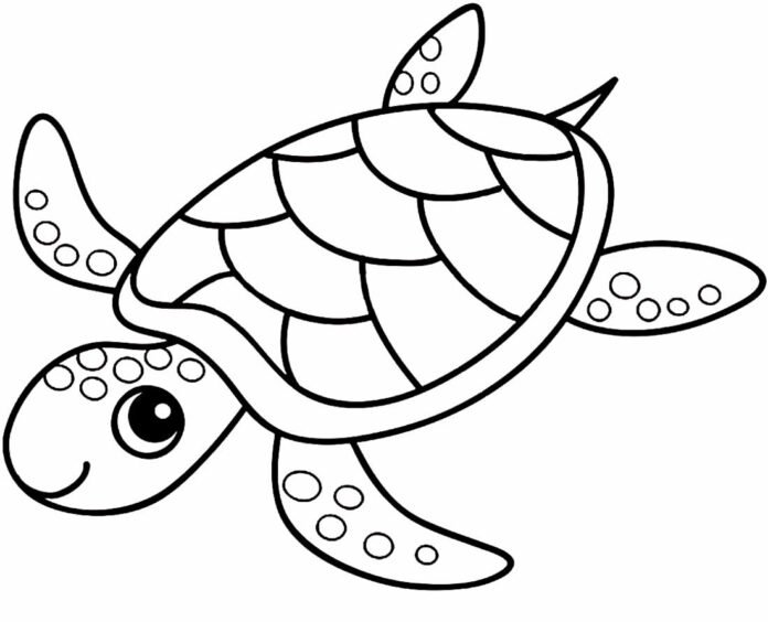 +100 Desenhos de Tartaruga para Colorir e Imprimir