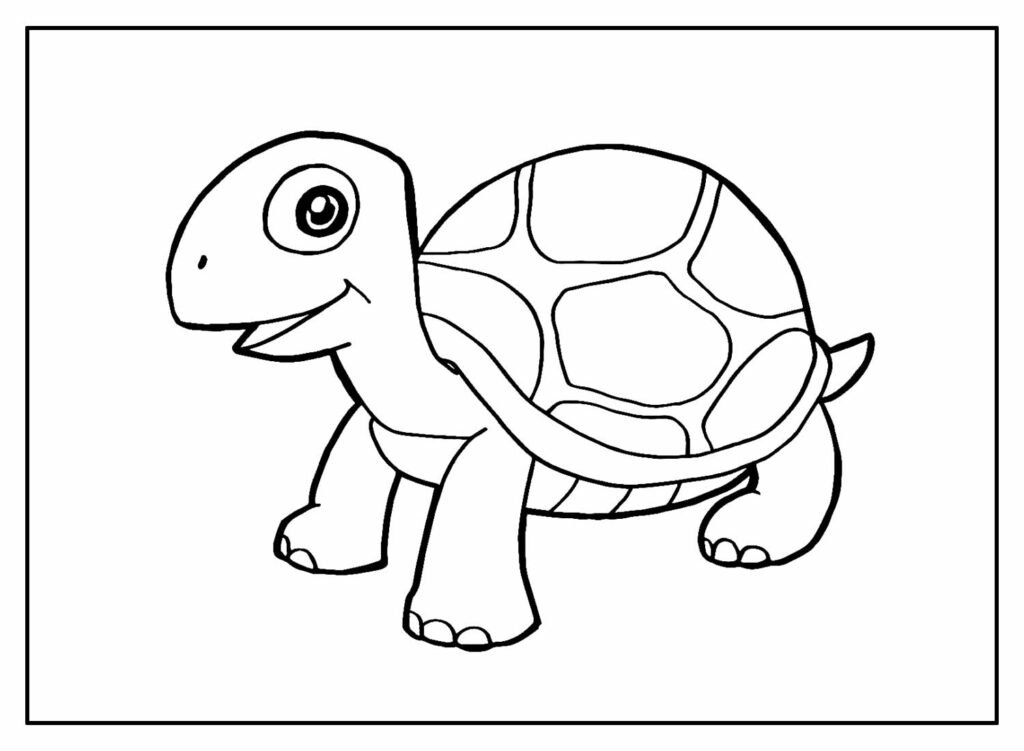 desenhos de tartaruga para colorir 8 1