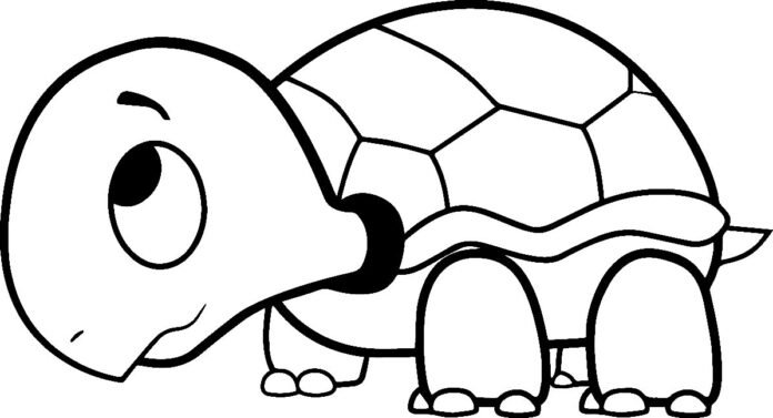 +100 Desenhos de Tartaruga para Colorir e Imprimir