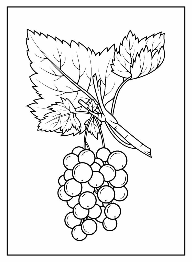 desenhos de uva para colorir 12