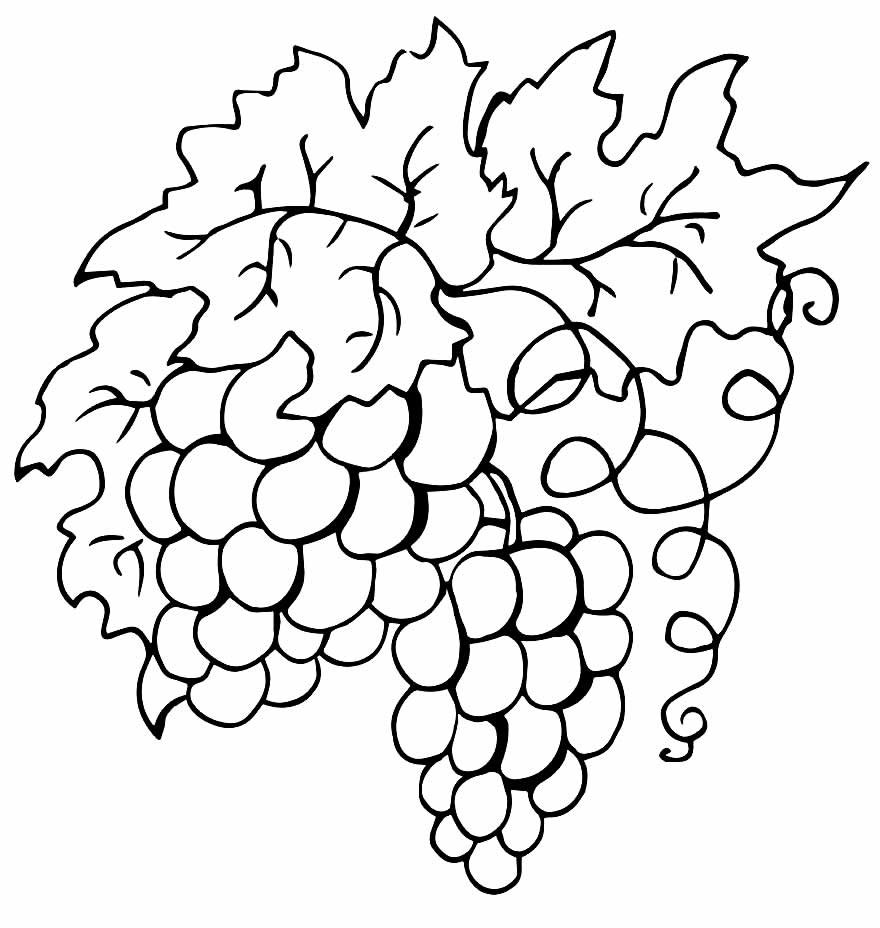 desenhos de uva para colorir 14