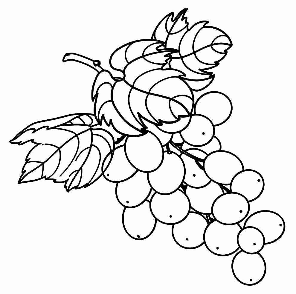 desenhos de uva para colorir 15