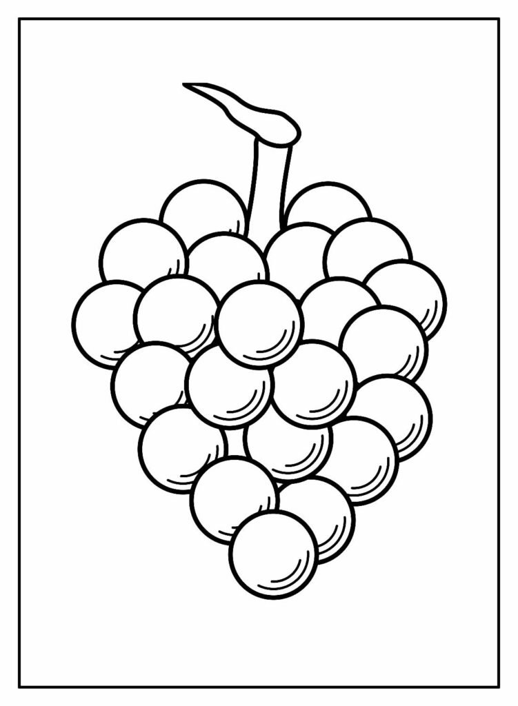 desenhos de uva para colorir 17