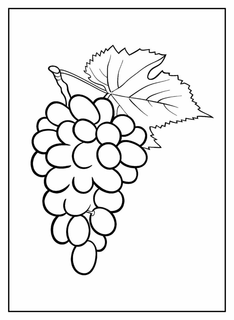 desenhos de uva para colorir 18