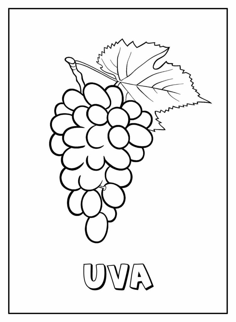 desenhos de uva para colorir 19
