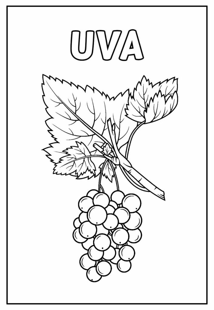 desenhos de uva para colorir 22