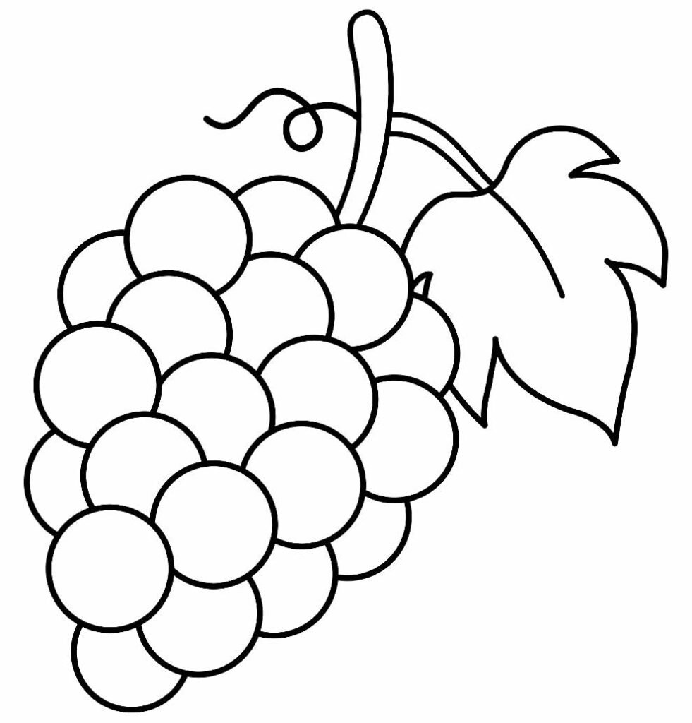 desenhos de uva para colorir 3