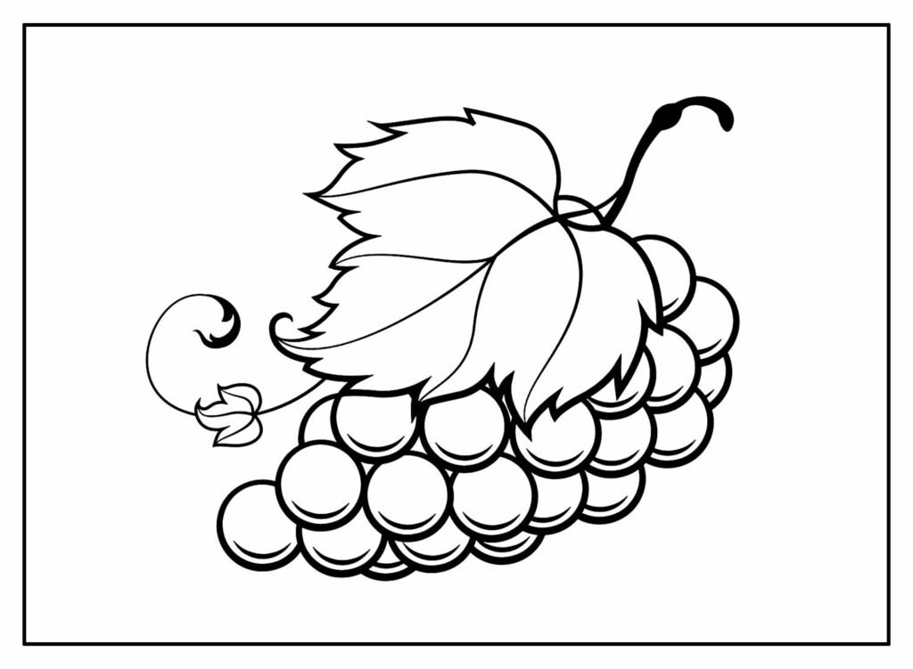 desenhos de uva para colorir 5