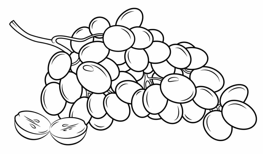 desenhos de uva para colorir 7