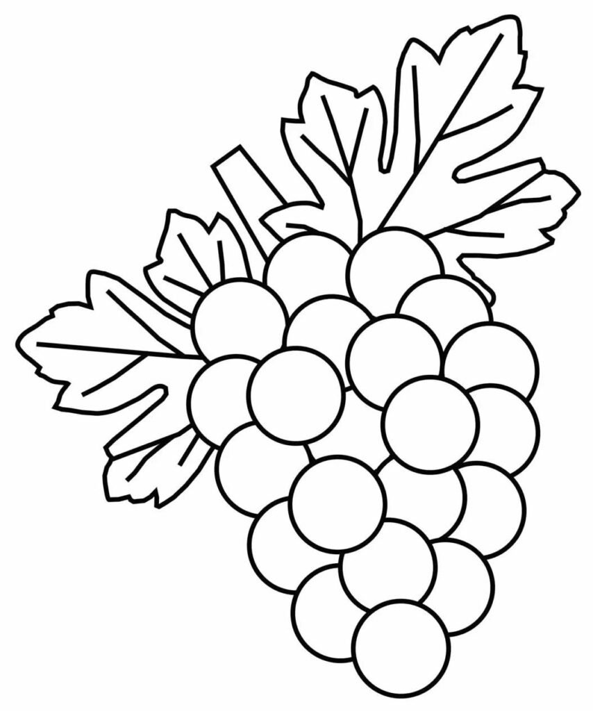 desenhos de uva para colorir 8