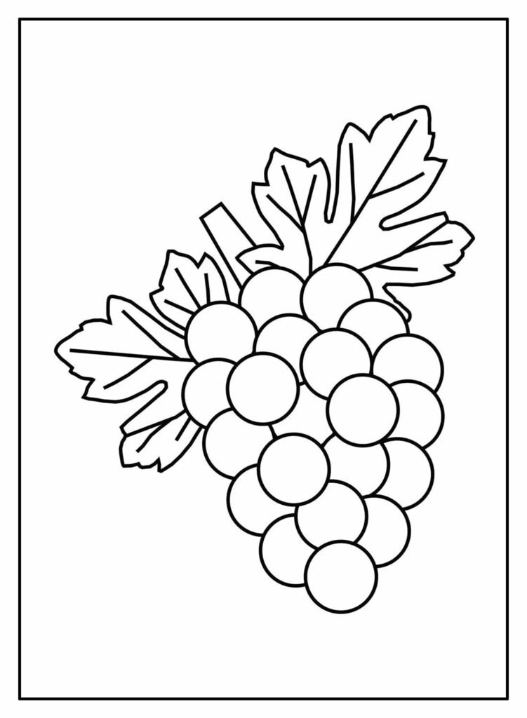 desenhos de uva para colorir 9
