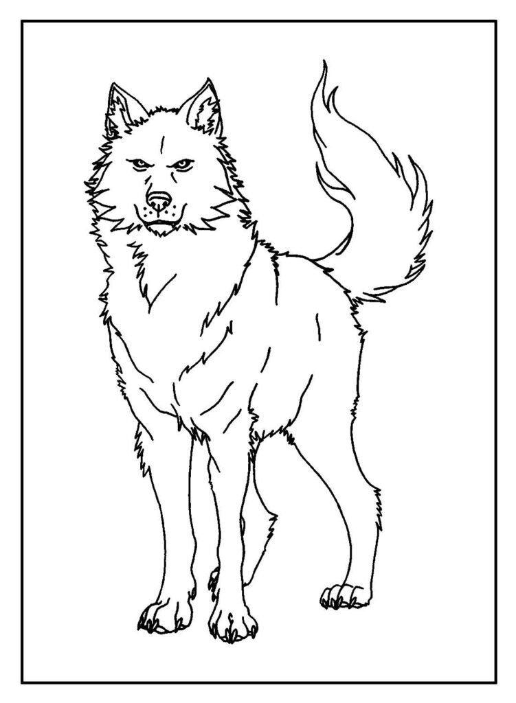 desenhos lobo 4