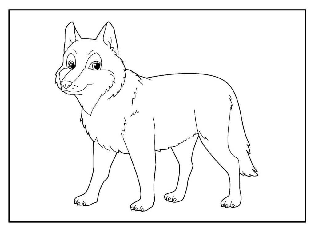 desenhos lobo 5