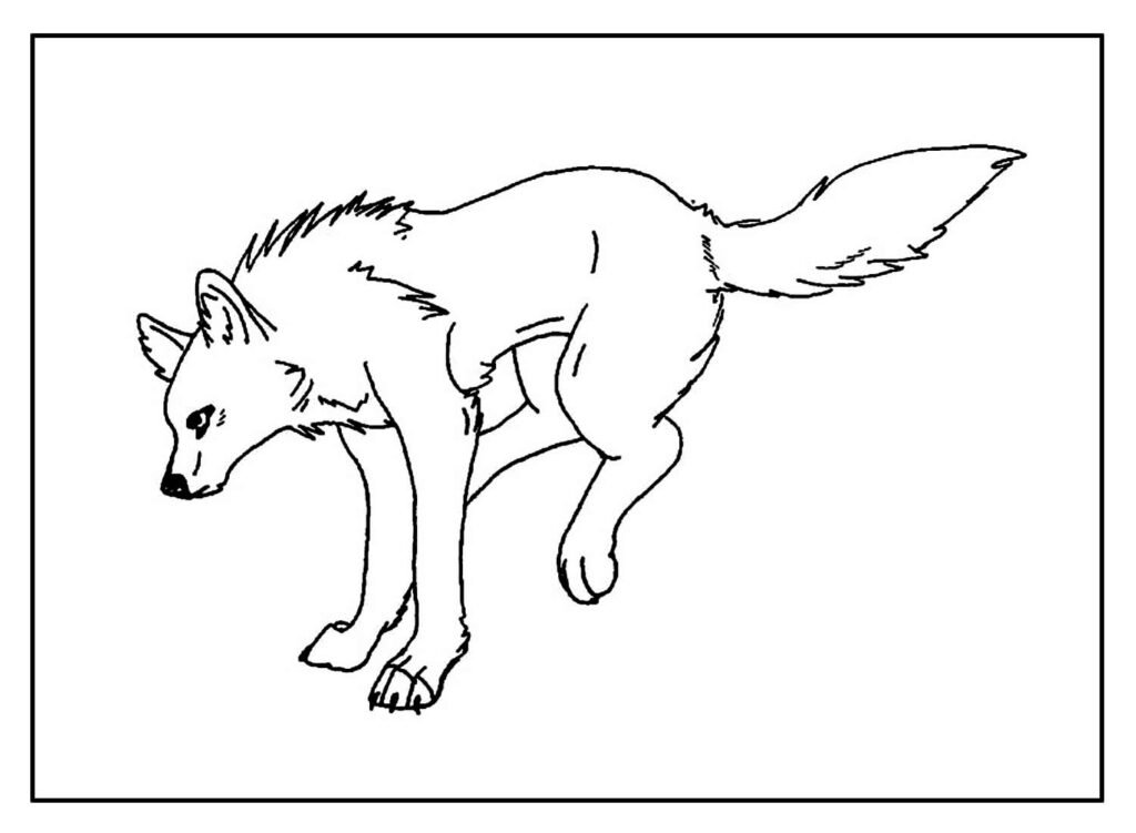 desenhos lobo10