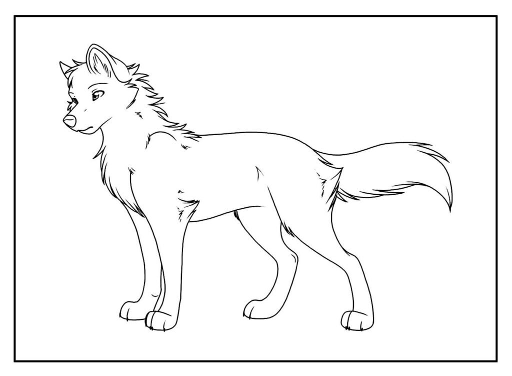 desenhos lobo11