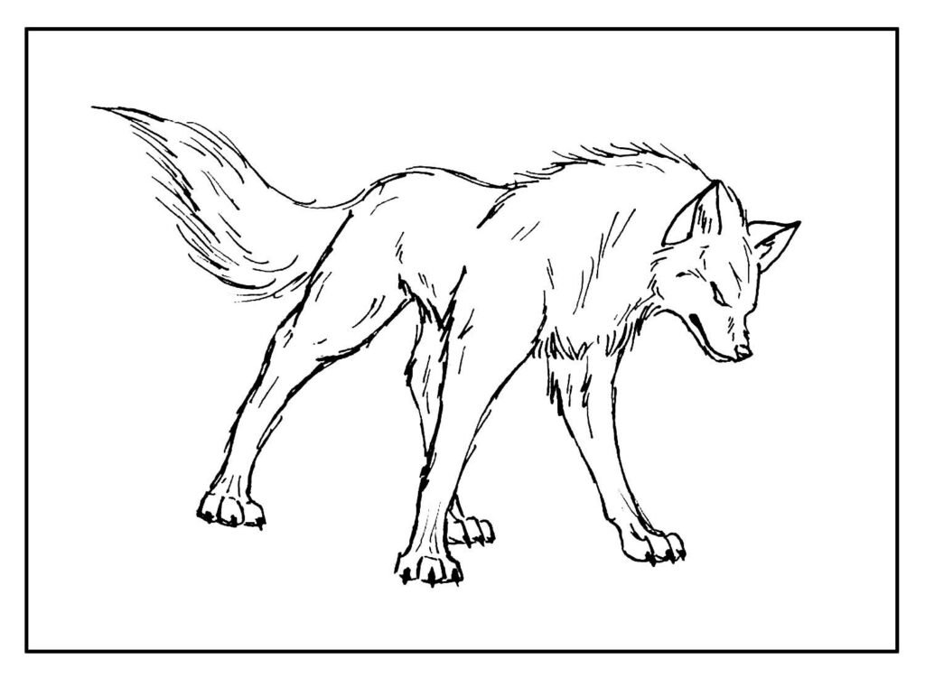 desenhos lobo14