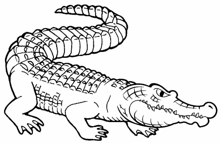 +90 Desenhos de Jacaré para Colorir e Imprimir