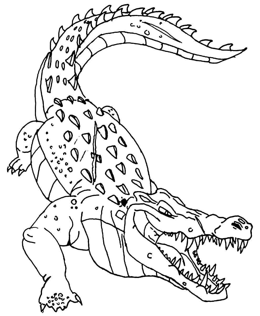 +90 Desenhos de Jacaré para Colorir e Imprimir