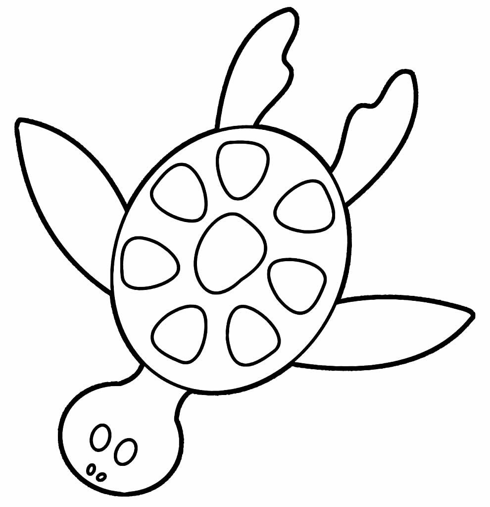 desenhos tartaruga para pintar e colorir 9