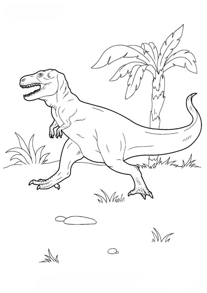dinossauro para colorir 39