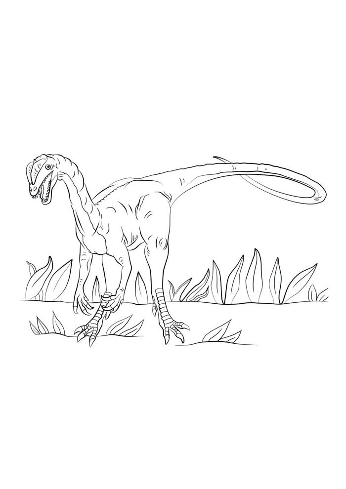 dinossauro para colorir 45