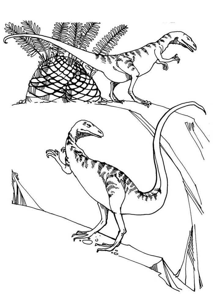 dinossauro para colorir 51