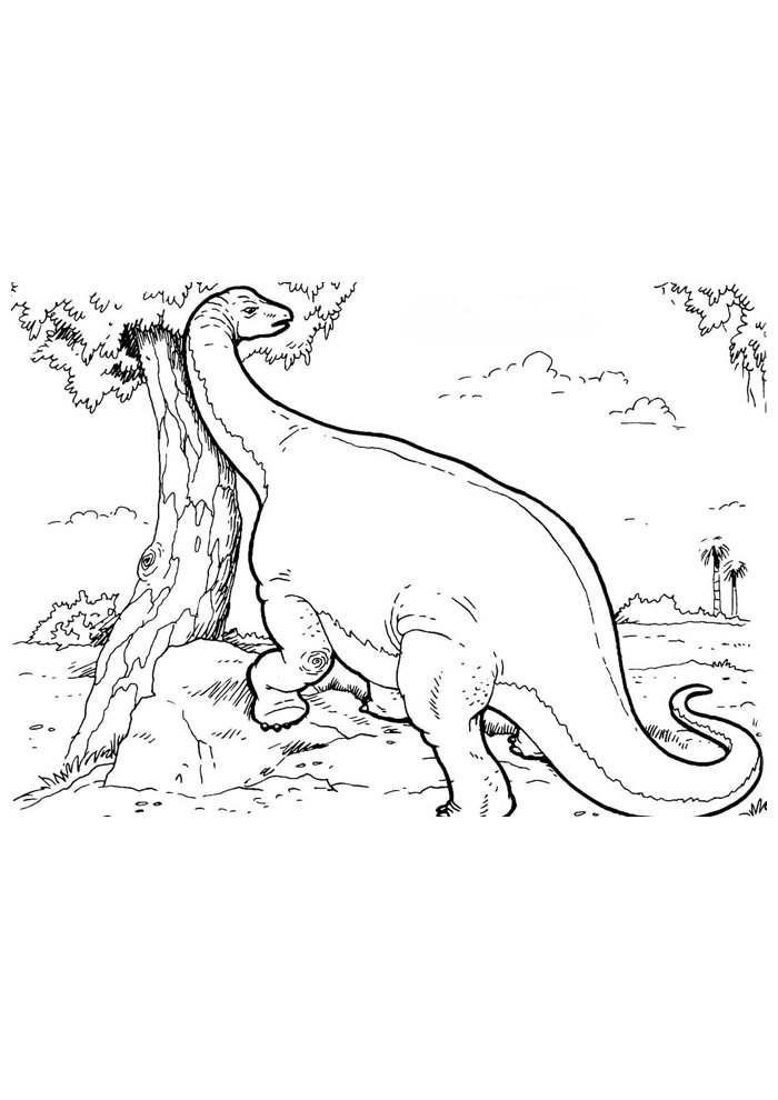 dinossauro para colorir 56