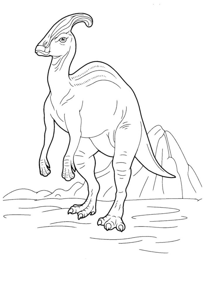 dinossauro para colorir 57