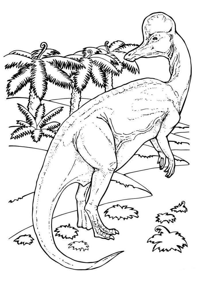 dinossauro para colorir 89