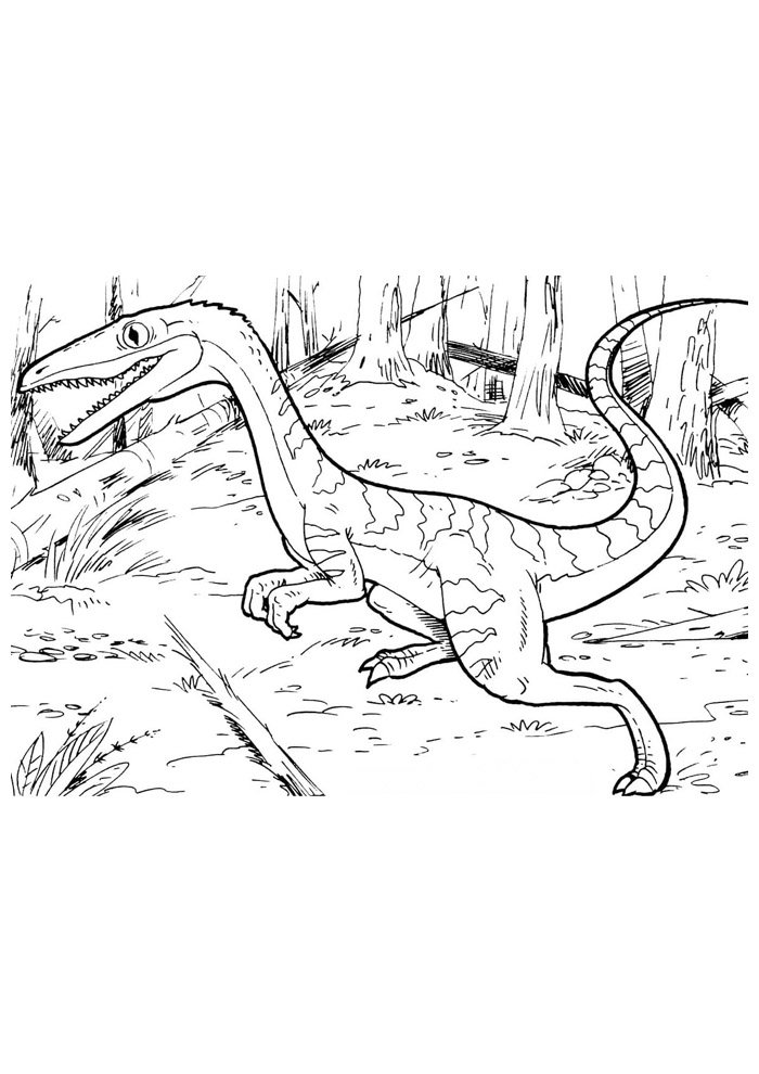 dinossauro para colorir 90