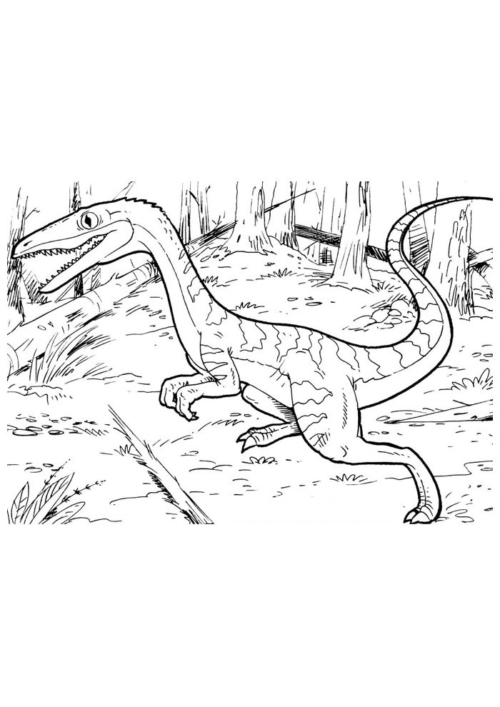 dinossauro para colorir 90