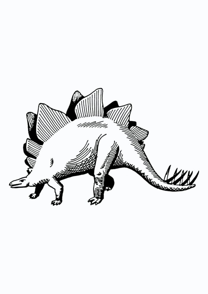 dinossauro para colorir grande estegossauro