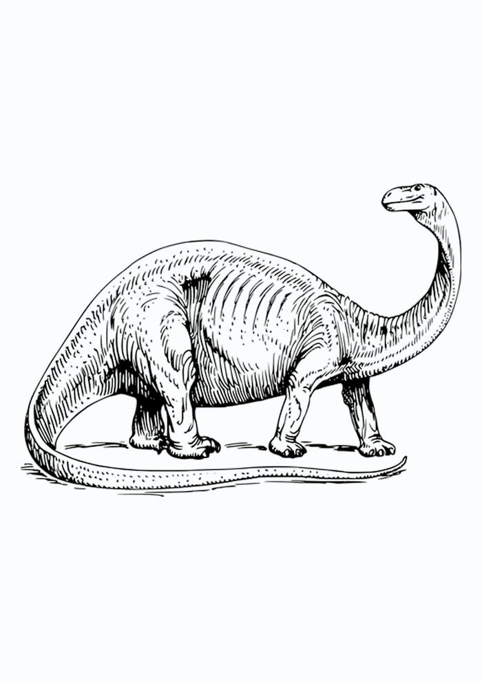 dinossauro para colorir grande