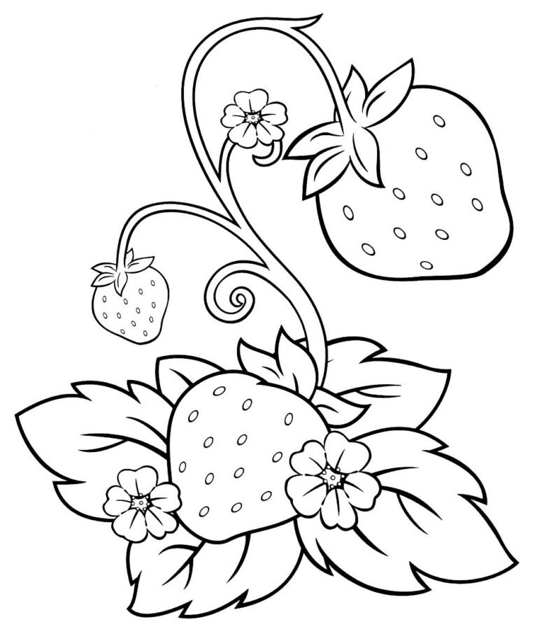 Desenhos de Morango para Colorir e Imprimir