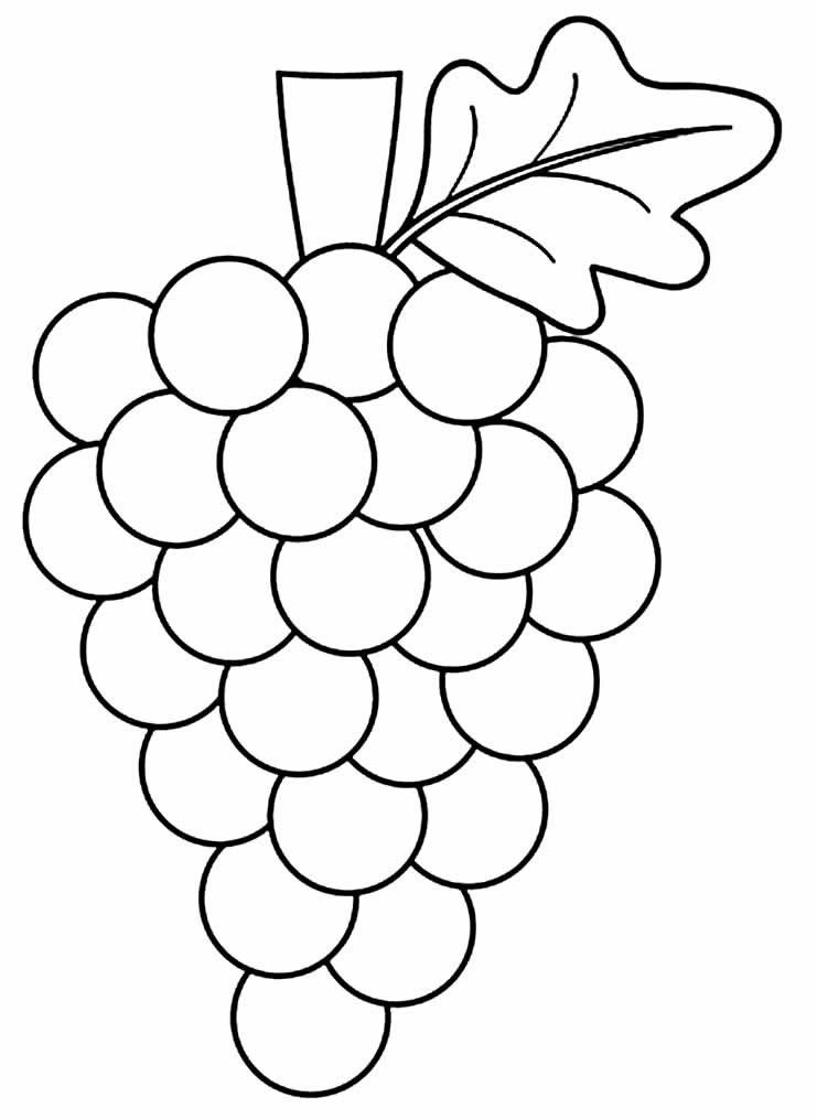 lindo desenho de uva para pintar 10