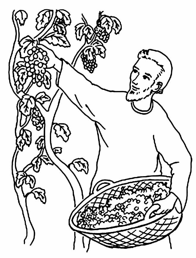 lindo desenho de uva para pintar 14