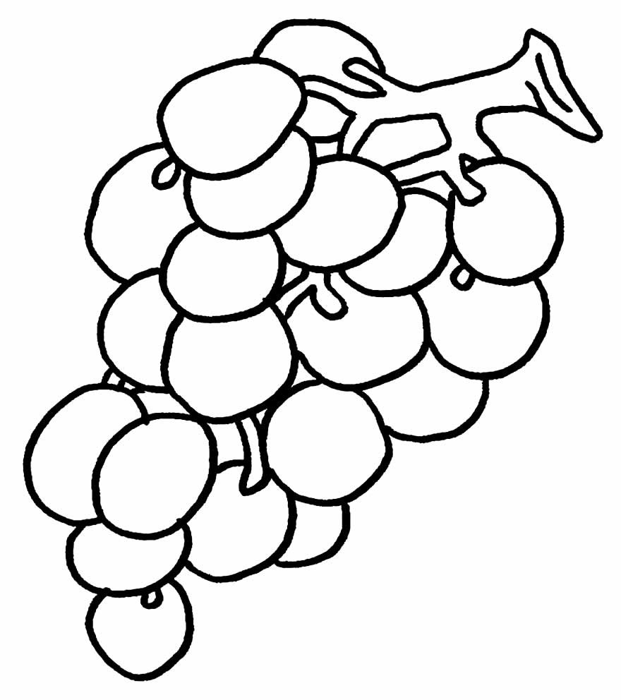 lindo desenho de uva para pintar 8