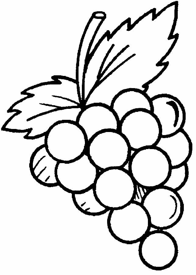 lindo desenho de uva para pintar 9