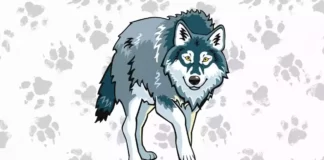 Desenhos de Lobo para Colorir e Imprimir lobo para colorir