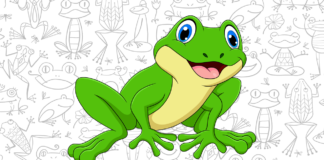 Desenhos de Sapo para Colorir e Imprimir sapo para colorir