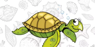 Desenhos de Tartaruga para Colorir e Imprimir tartaruga para colorir