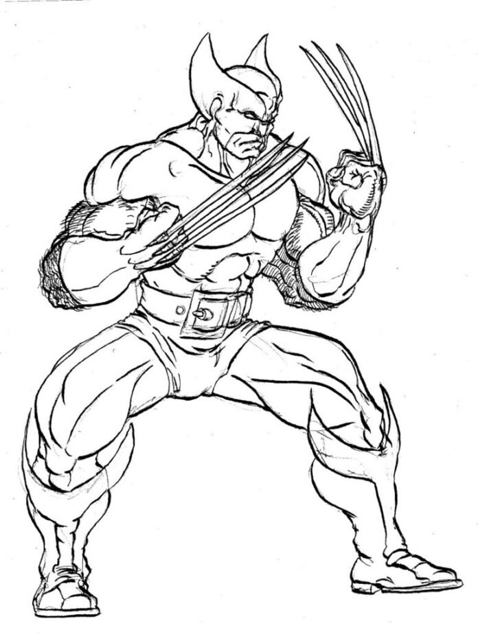 Desenhos do Wolverine para Colorir e Imprimir