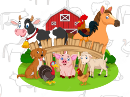 animais de fazenda para colorir