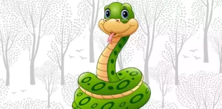 Desenhos de Cobra para Colorir e Imprimir cobra para colorir